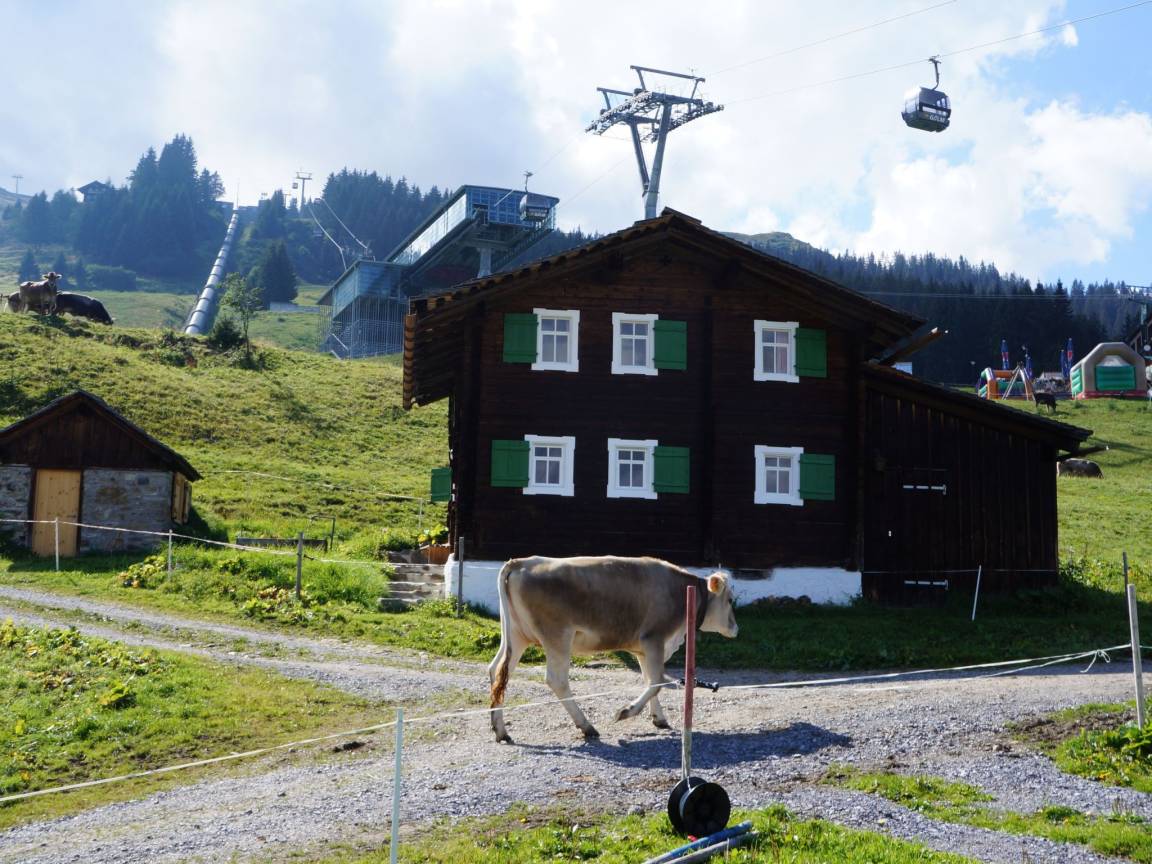 110 M² Ferienhaus ∙ 3 Schlafzimmer ∙ 6 Gäste - Bludenz