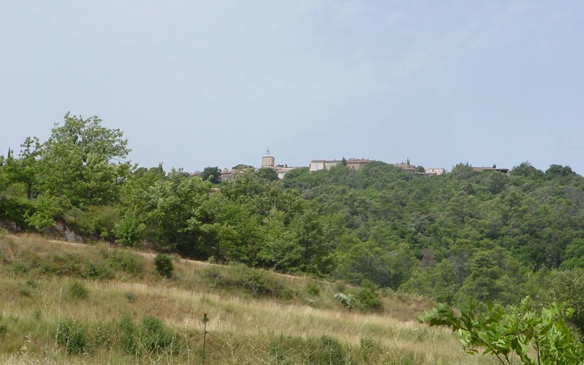 foto7