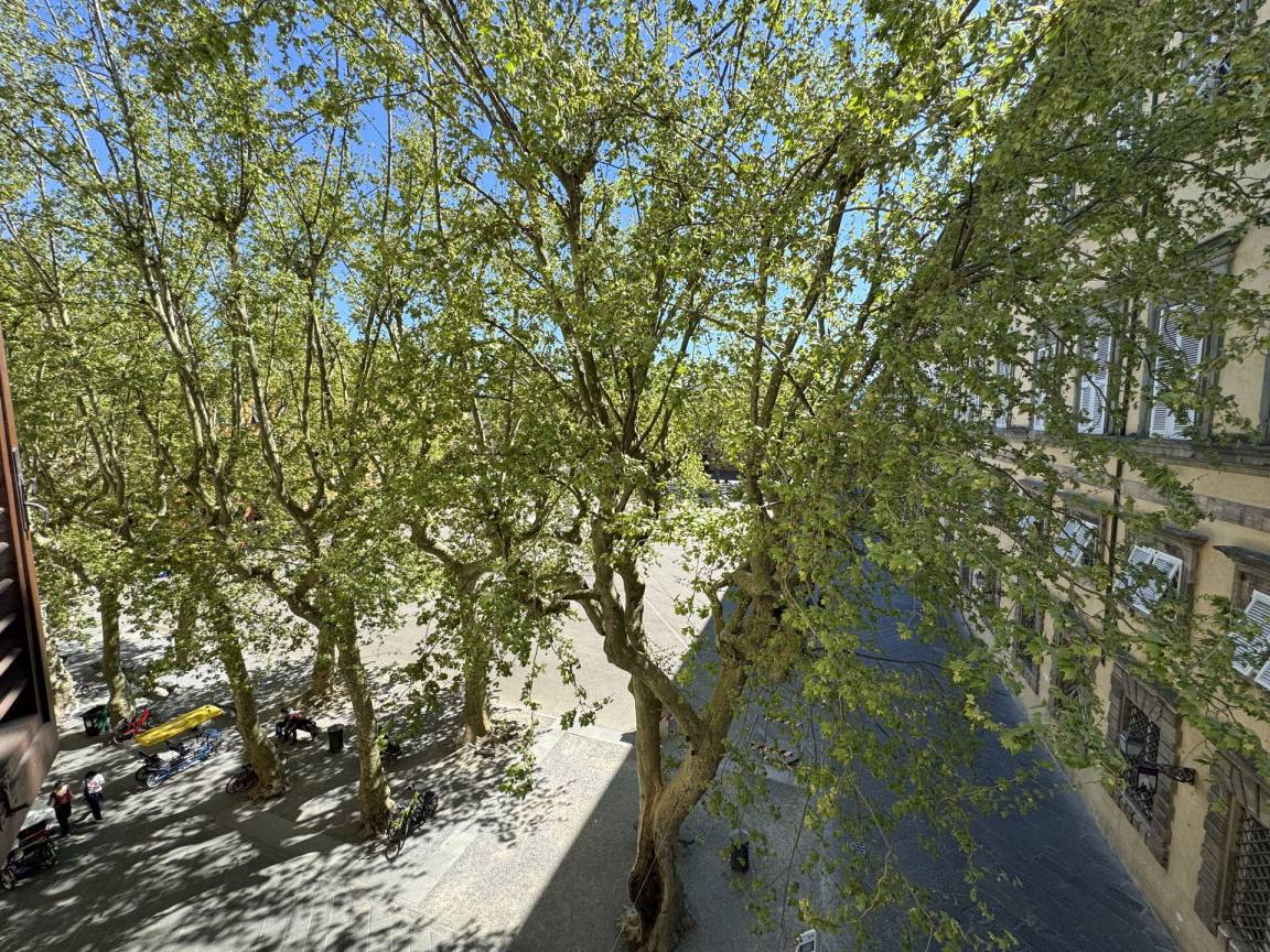 foto17