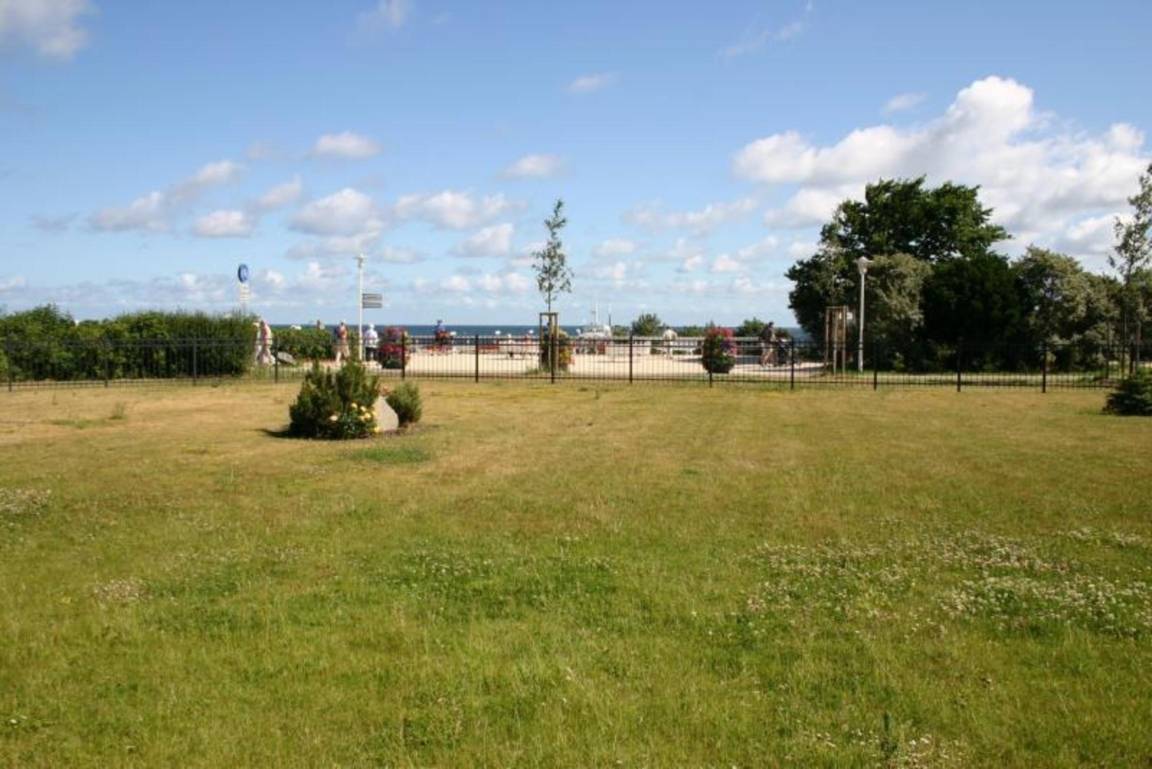foto19