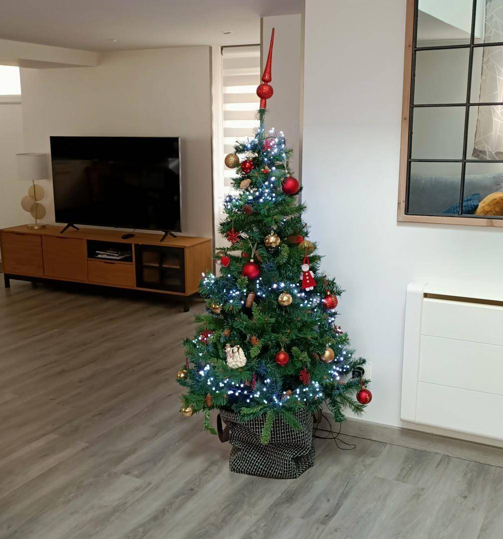 foto16