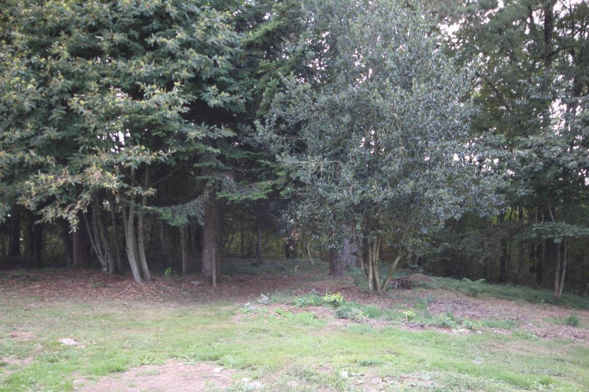 foto22