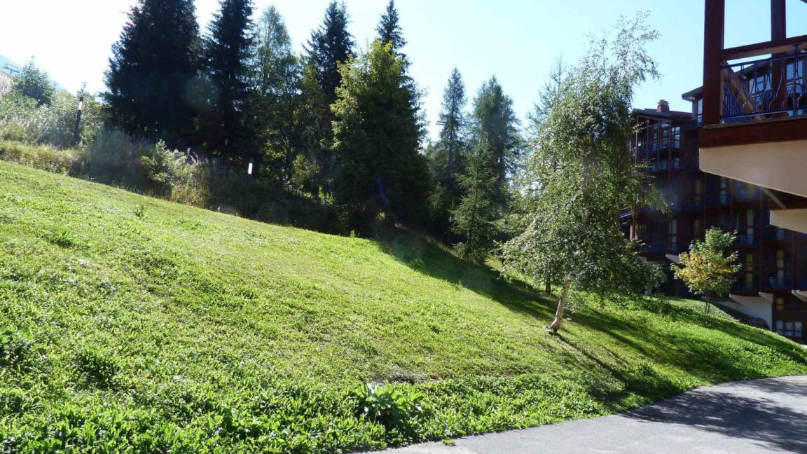 foto17