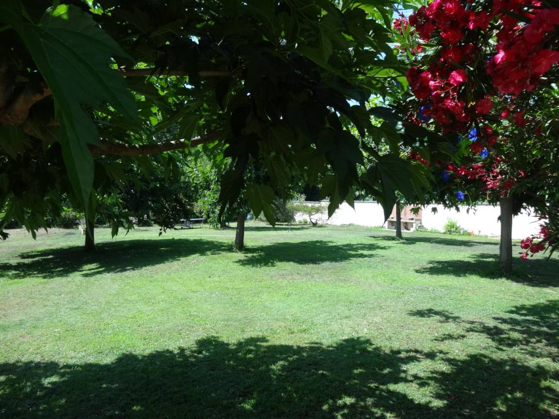 foto18