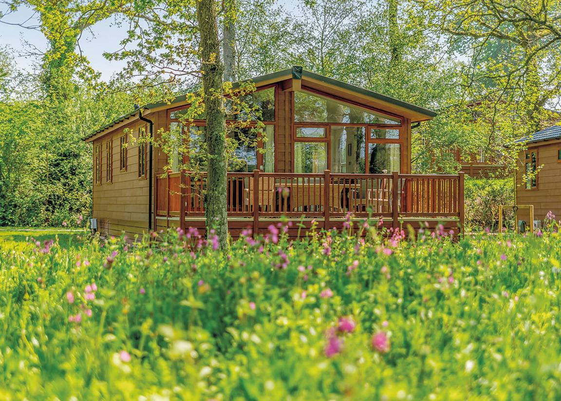 Chalet ∙ 2 Bedrooms ∙ 4 Guests - Corfe Castle