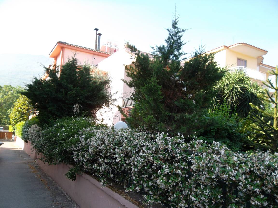 foto2