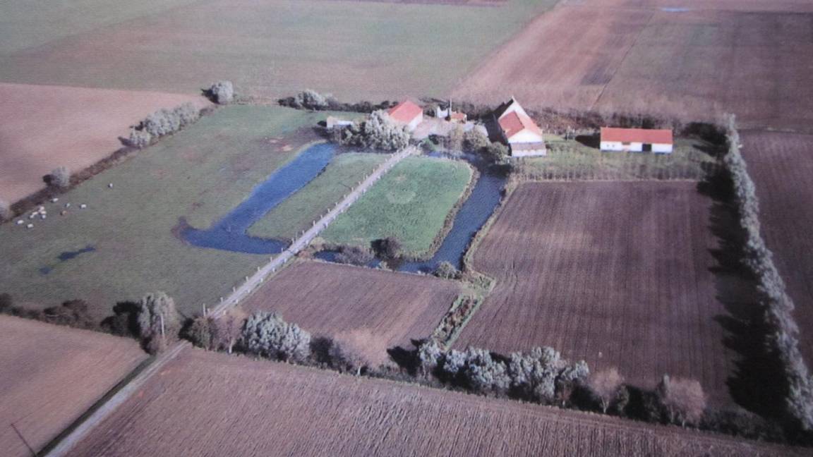 foto34