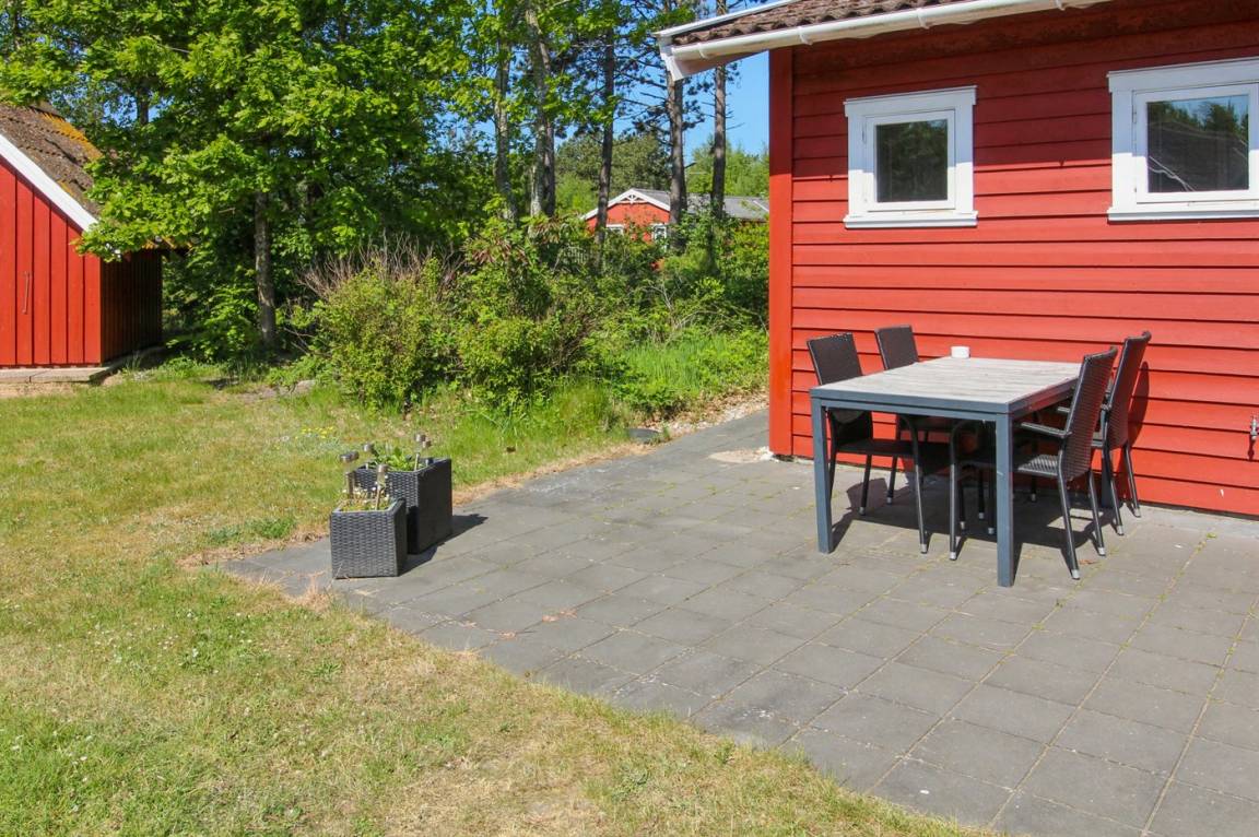foto31