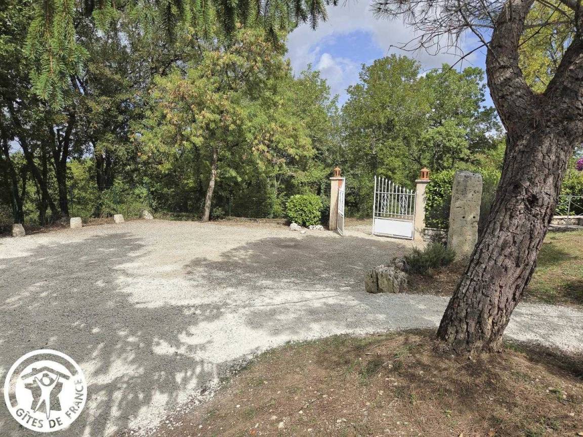foto42