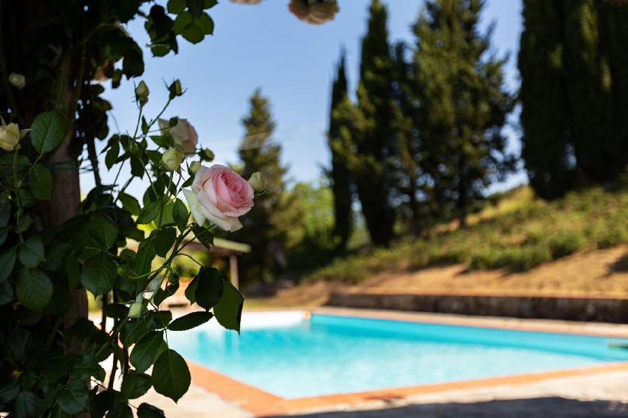 50 M² Boerderij ∙ 2 Slaapkamers ∙ 3 Gasten - Borgo San Lorenzo