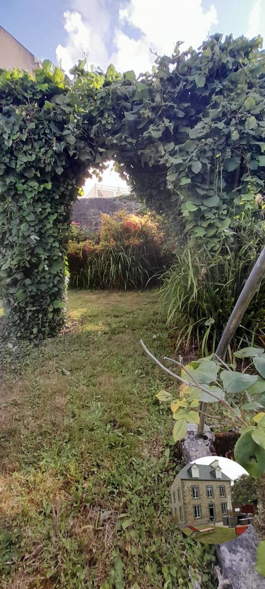 foto37