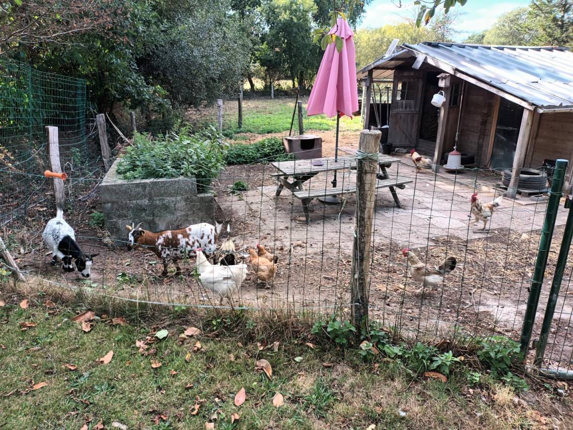 foto40