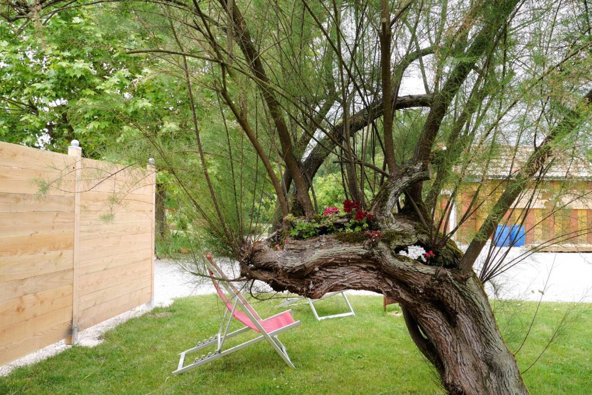 foto26