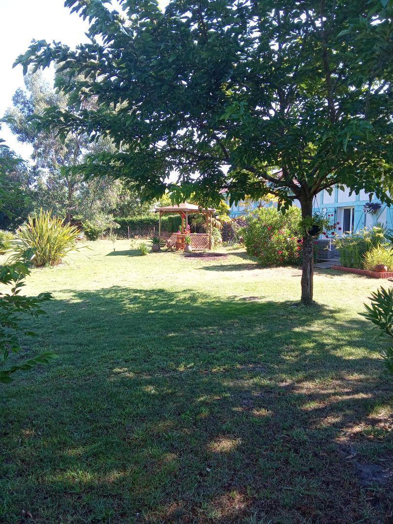 foto22
