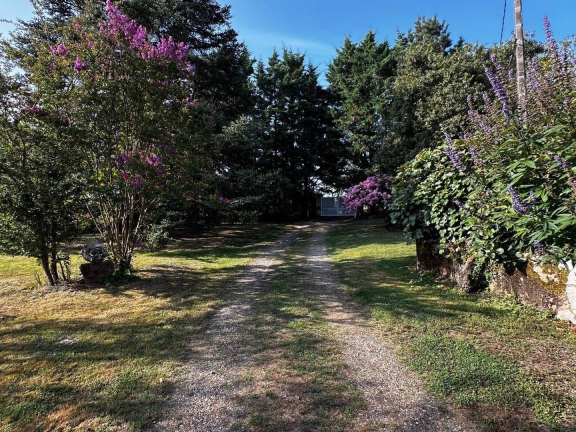 foto14