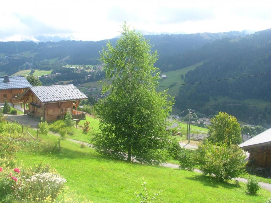 foto6