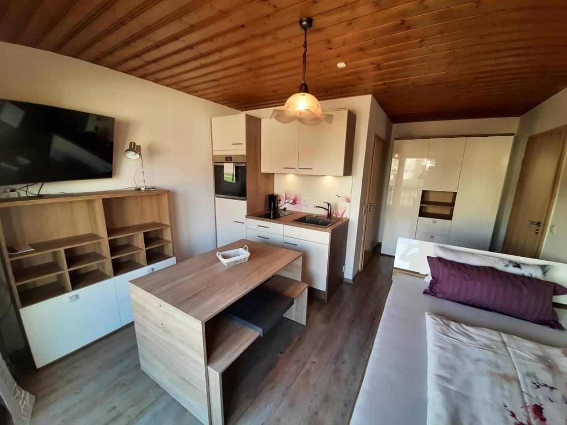 Apartament ∙ 1 Sypialnia ∙ 1 Gość - Frauenau