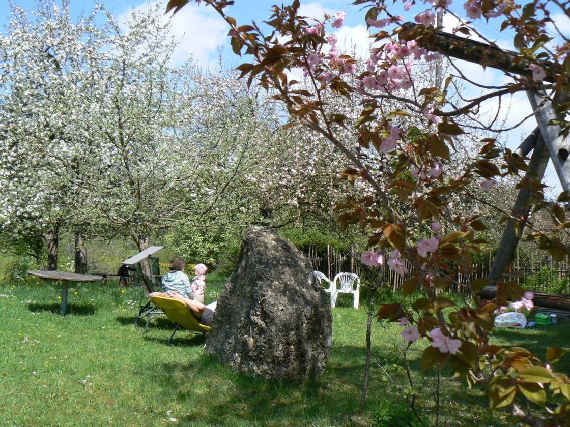 foto41