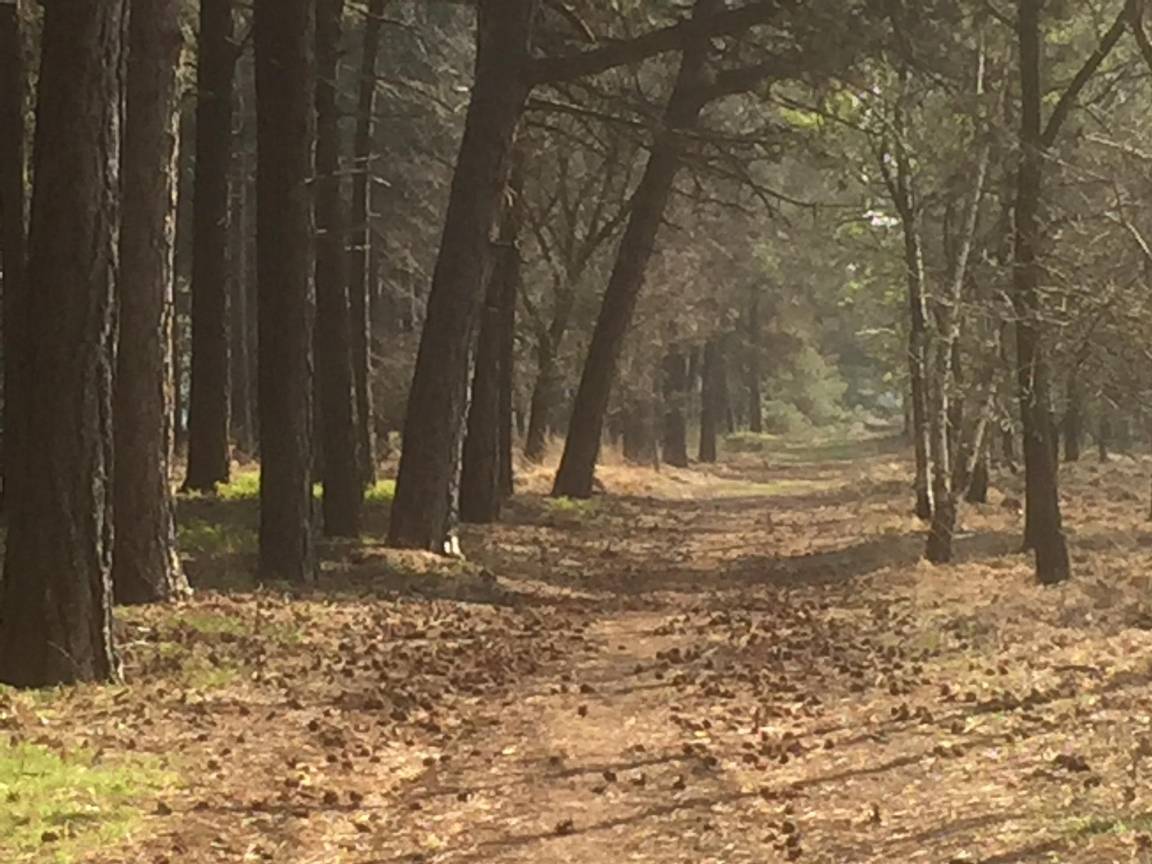 foto4