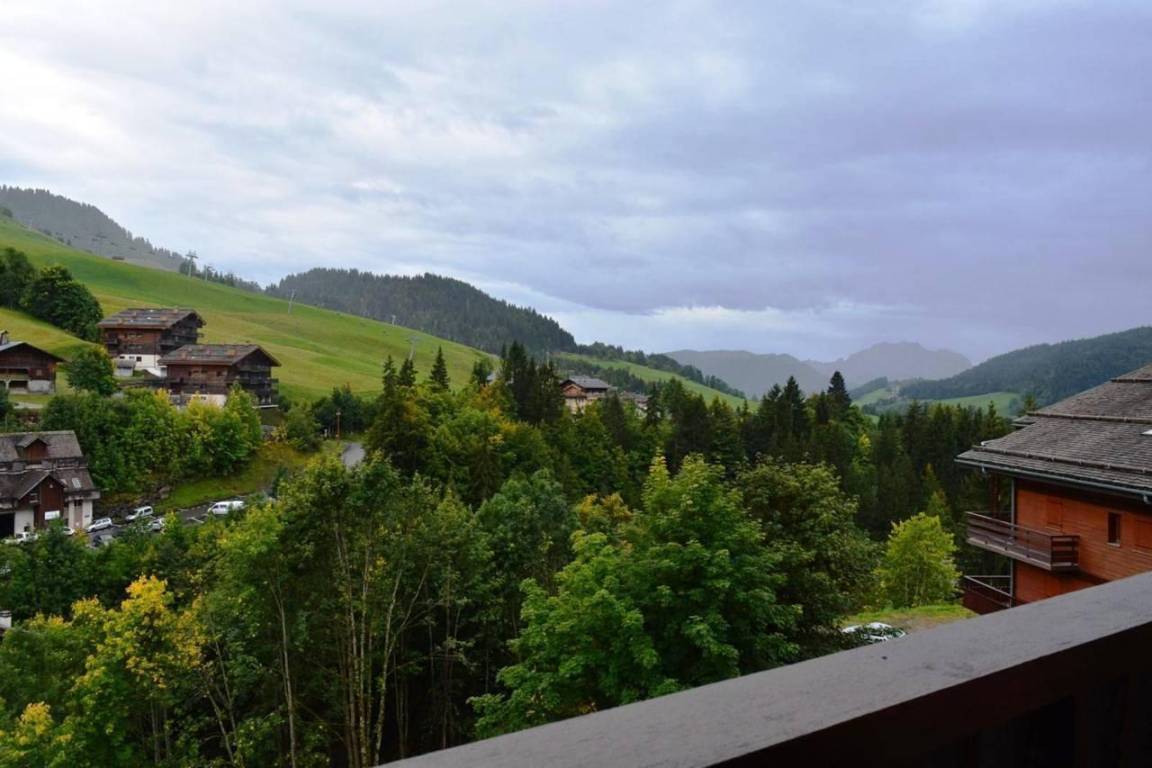 foto2