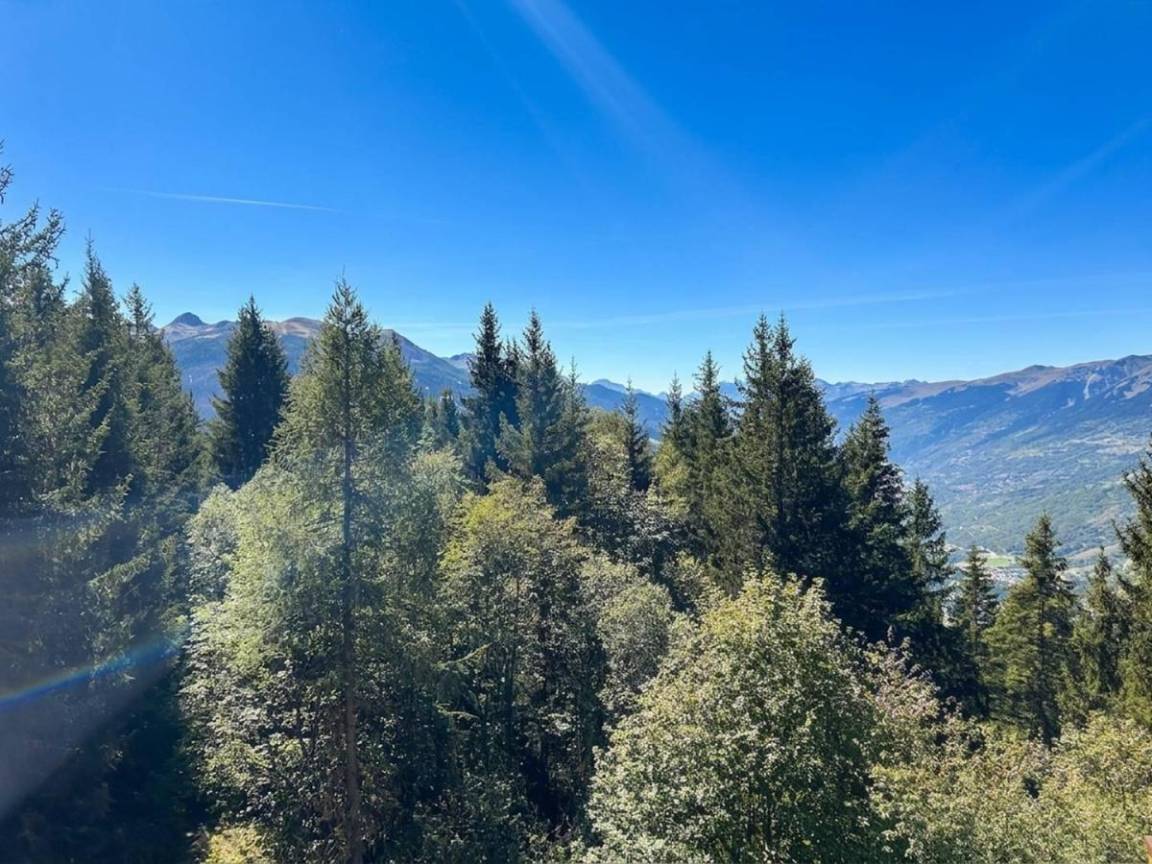 foto14