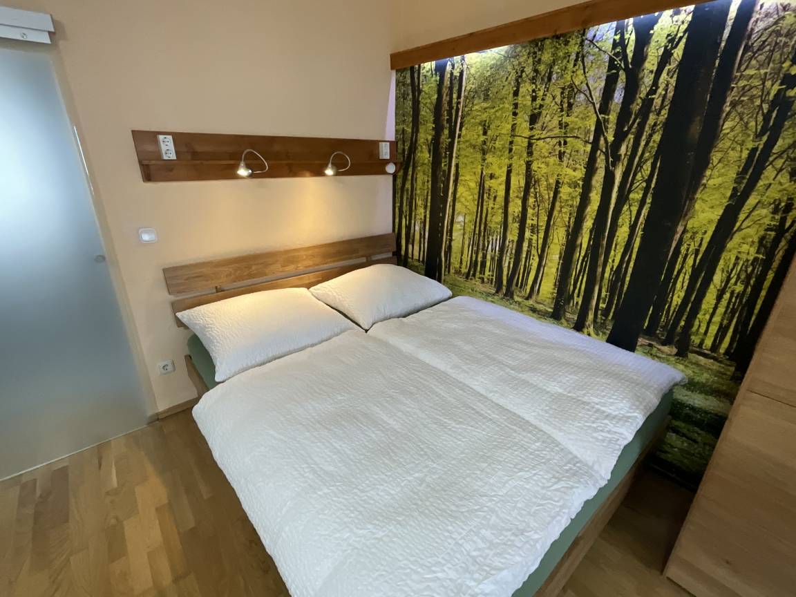 35 M² Ferienwohnung ∙ 4 Gäste - Teisendorf