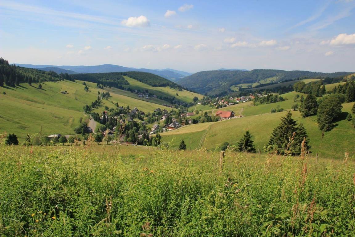 foto11