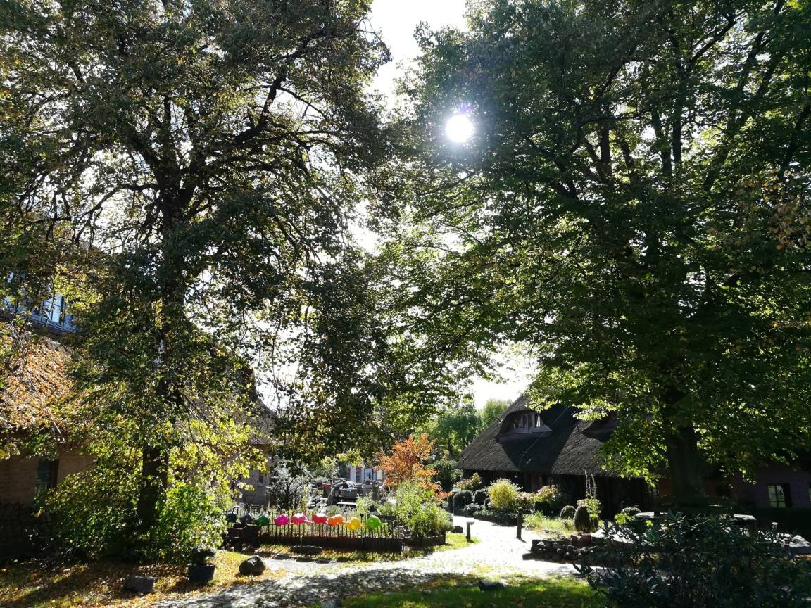 foto6