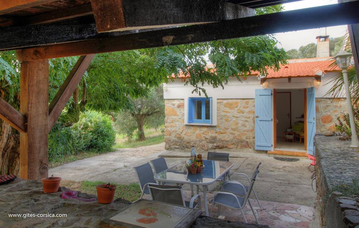 foto1