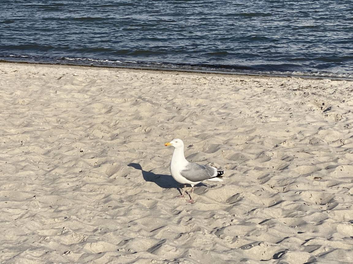foto25