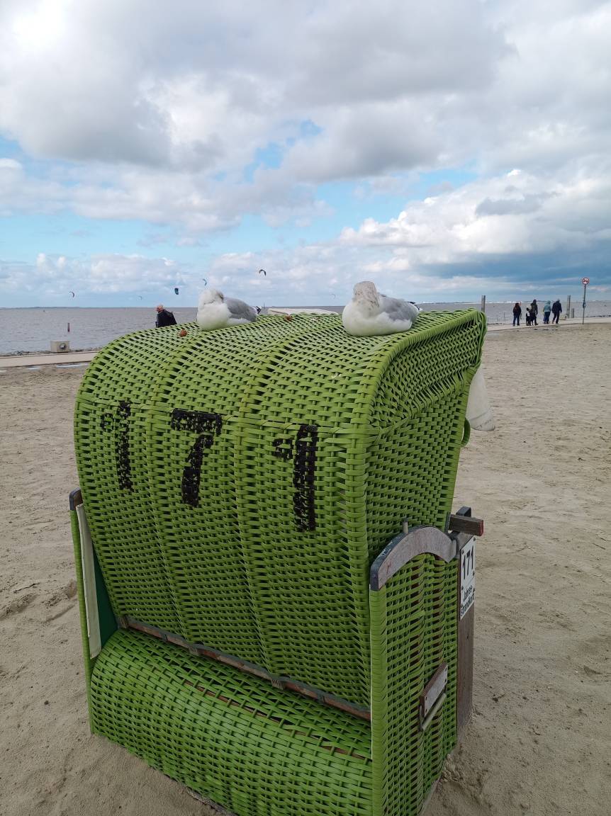 foto21