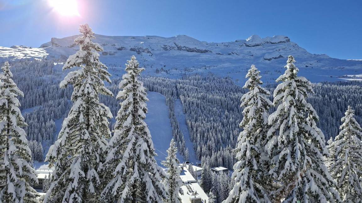 foto14