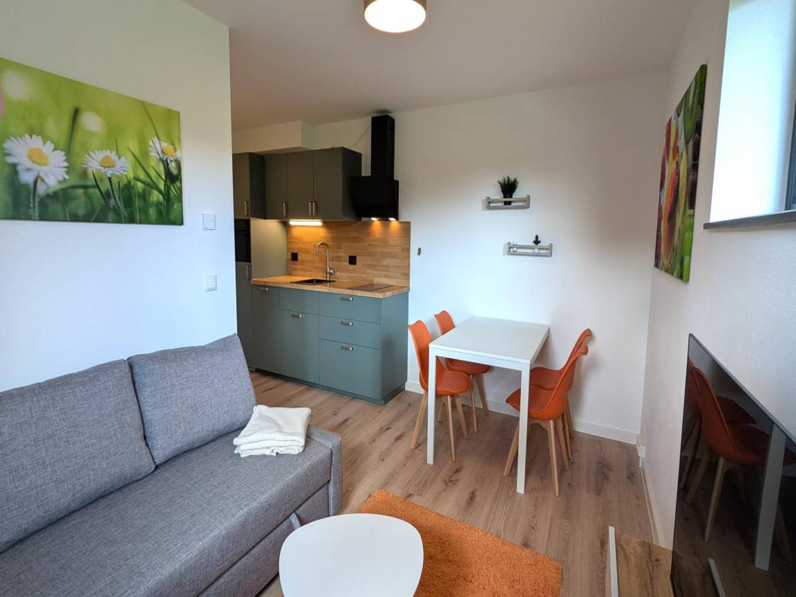 30 m&sup2; Ferienwohnung 1 Schlafzimmer 4 G&auml;ste