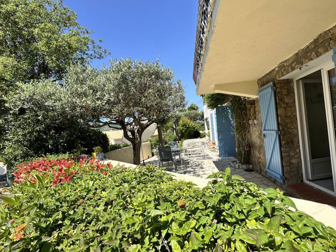 foto1