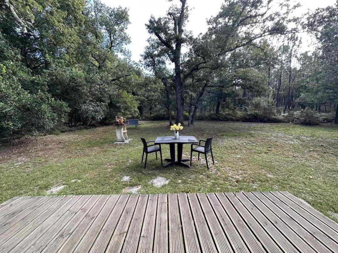 foto16