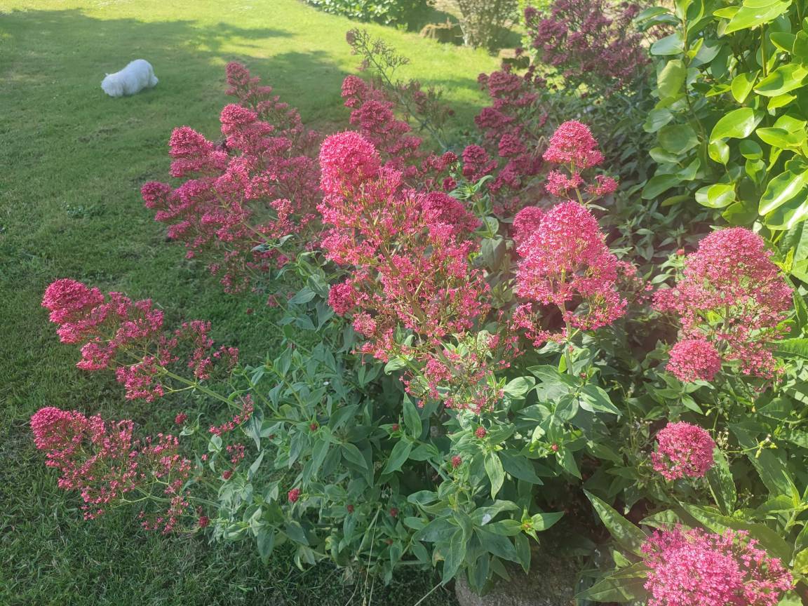 foto23