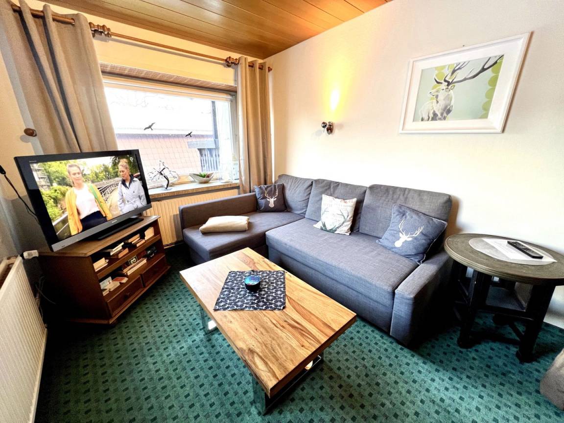 45 M² Ferienwohnung ∙ 1 Schlafzimmer ∙ 5 Gäste - Braunlage