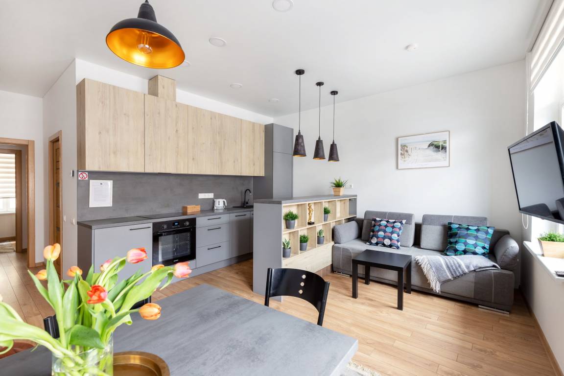 46 M² Apartment ∙ 1 Bedroom ∙ 4 Guests - Vilnius