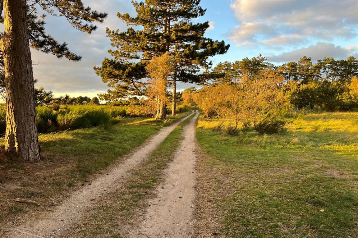 foto30