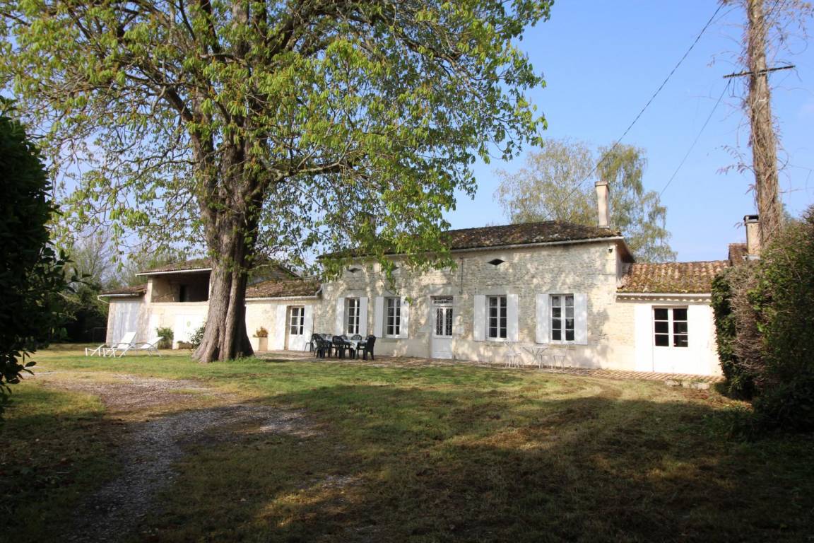 foto19