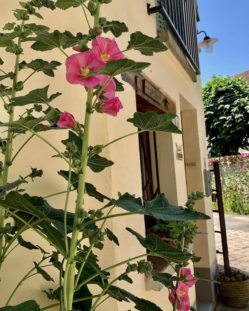 foto20