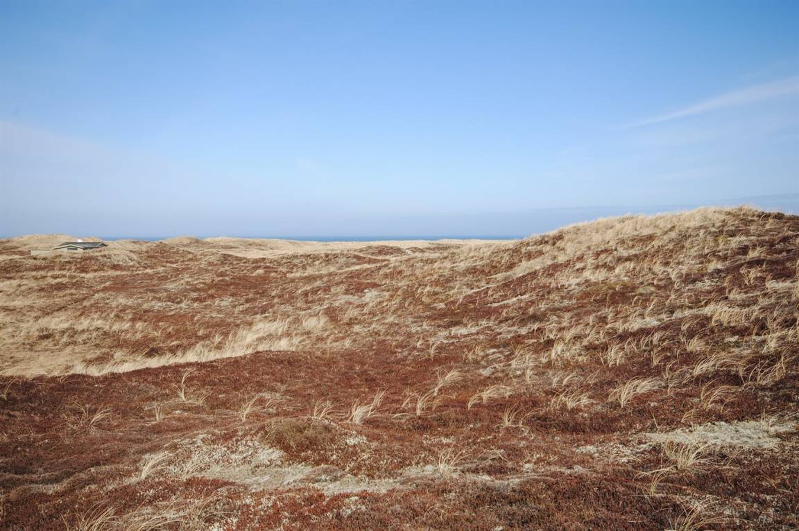 foto21
