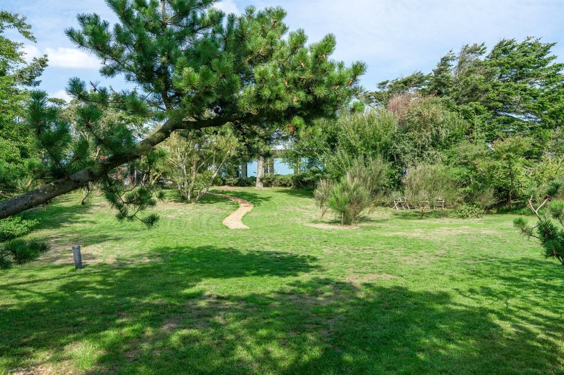 foto10
