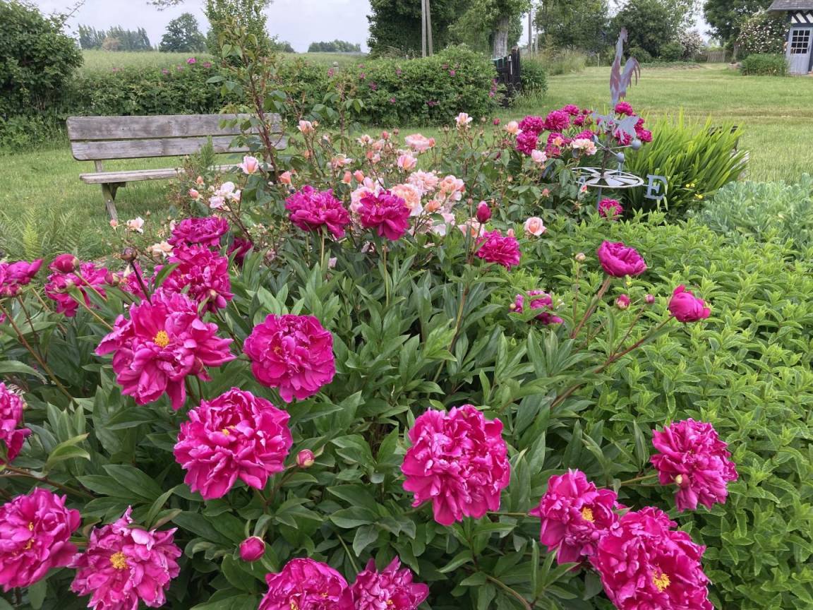 foto20