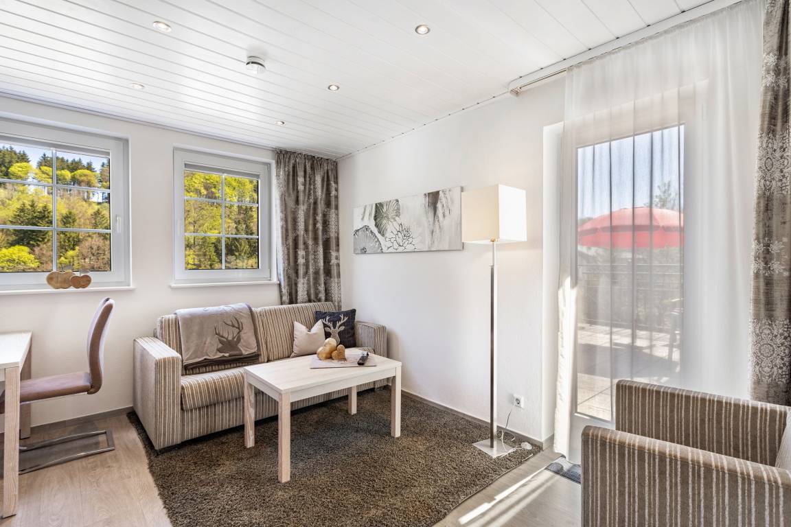55 M² Apartment ∙ 1 Bedroom ∙ 3 Guests - Willingen