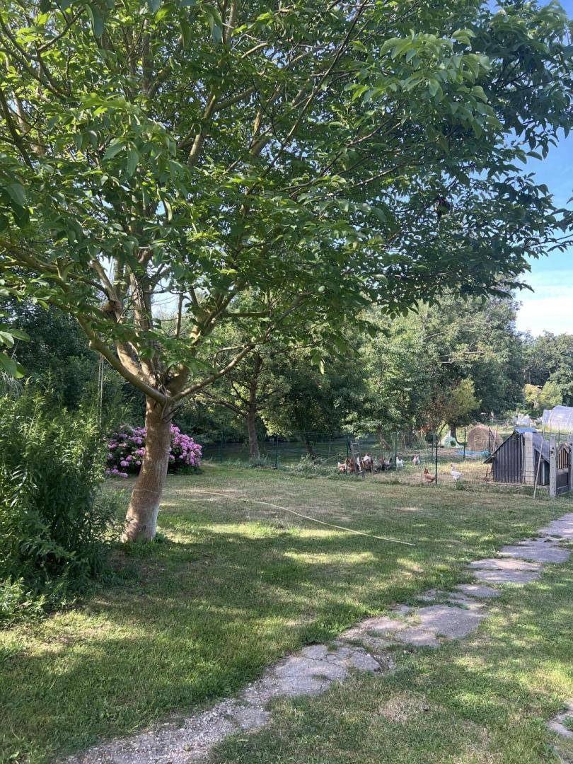 foto16