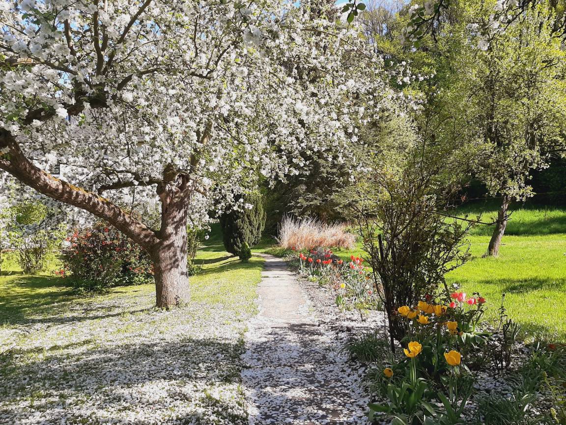 18 m² Privatzimmer ∙ 1 Schlafzimmer ∙ 2 Gäste – Bild 11
