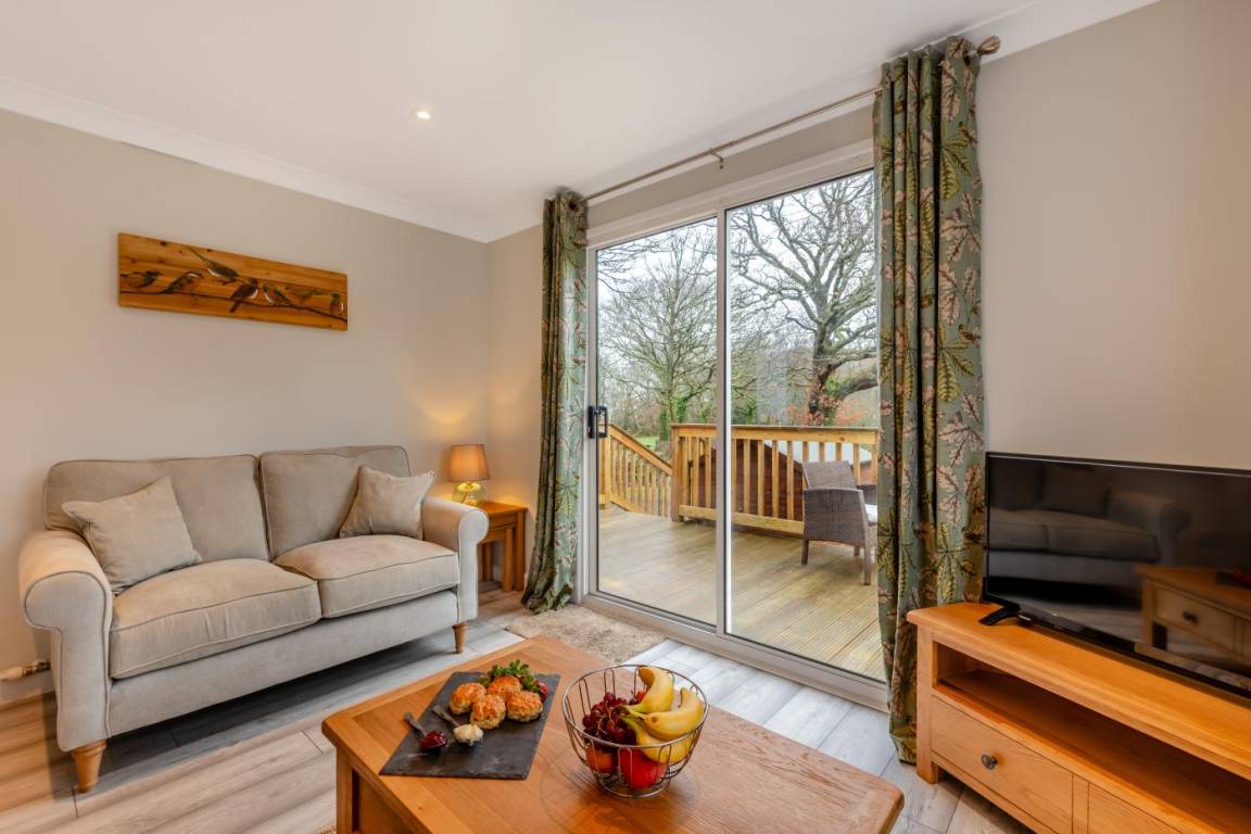 Lodge ∙ 1 Bedroom ∙ 2 Guests - Devon