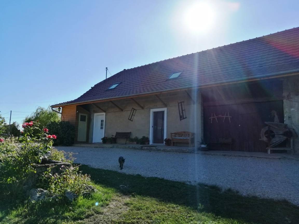 foto1