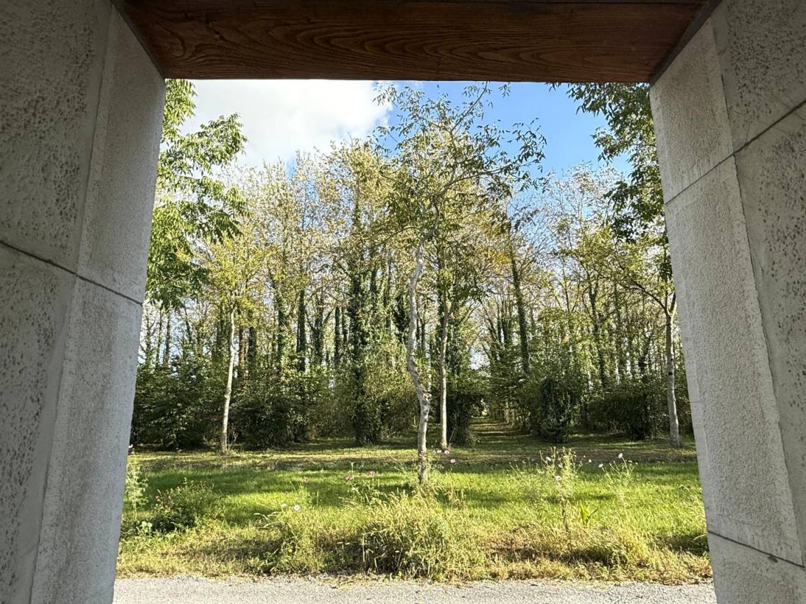 foto14